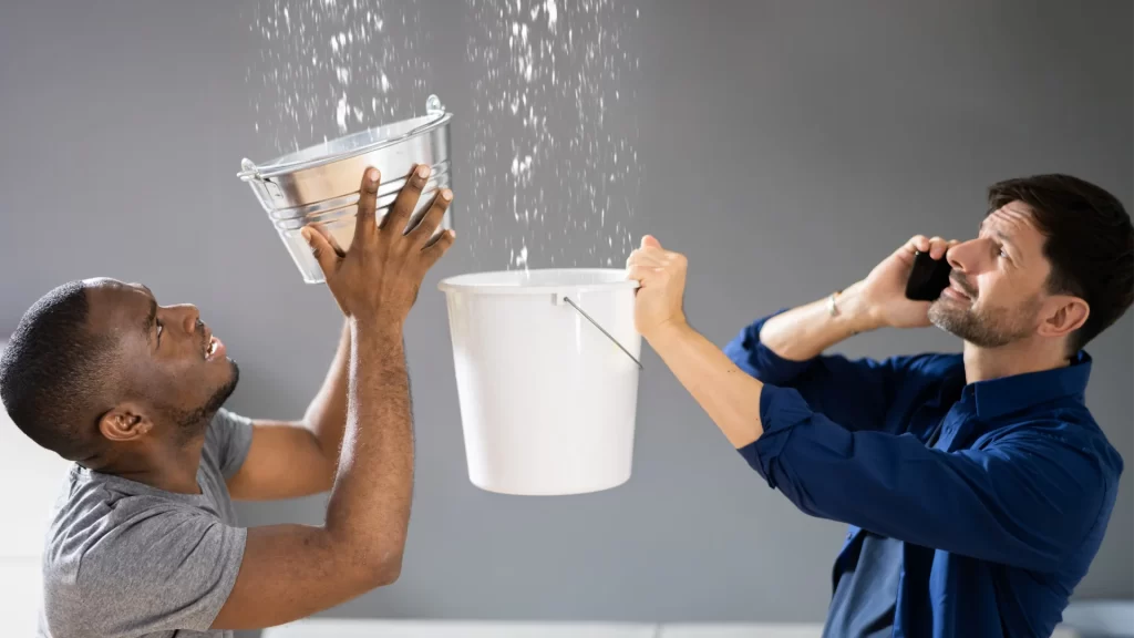 Infiltrations d'eau par la toiture