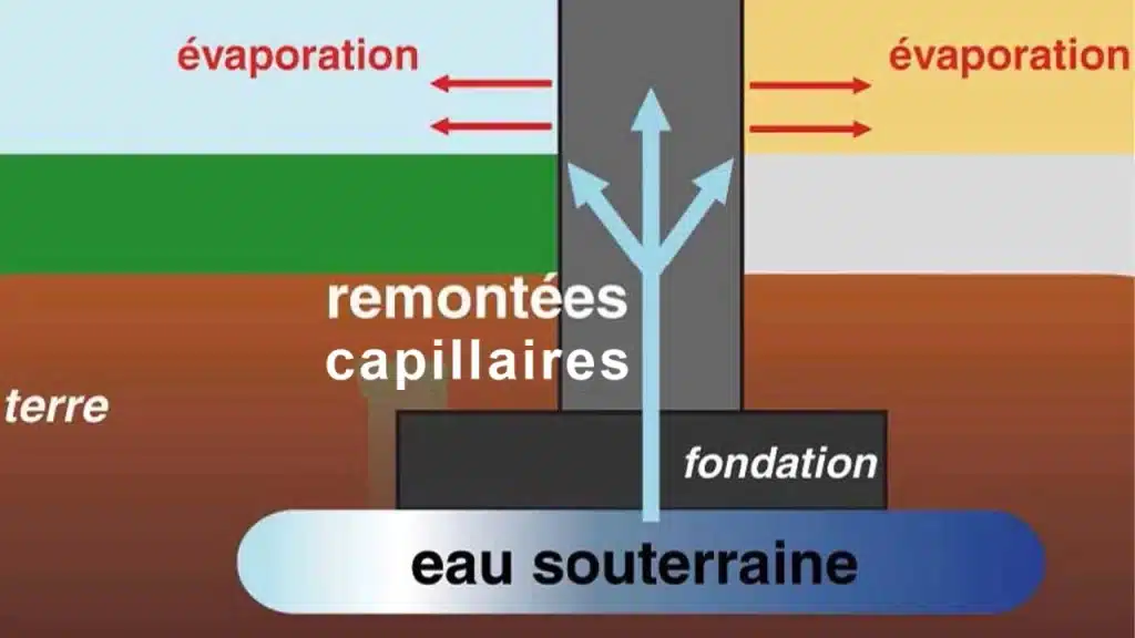 Schéma des remontées capillaires : assèchement des murs