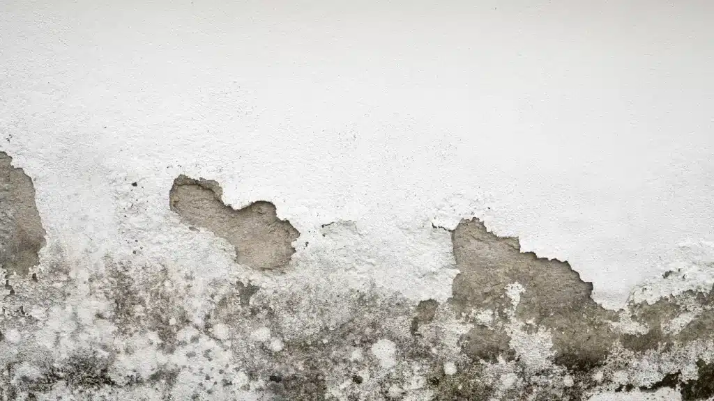 Enduit décollé et traces d'humidité en bas de mur causés par des remontées capillaires Enduit décollé et traces d'humidité en bas de mur causés par des remontées capillaires